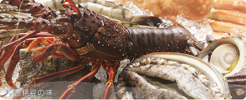 �����w�b�_�[�摜