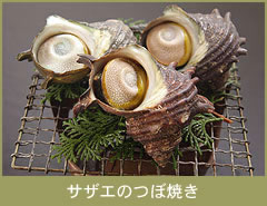 �T�U�G�̂ڏĂ�