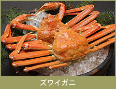 �Y���C�K�j